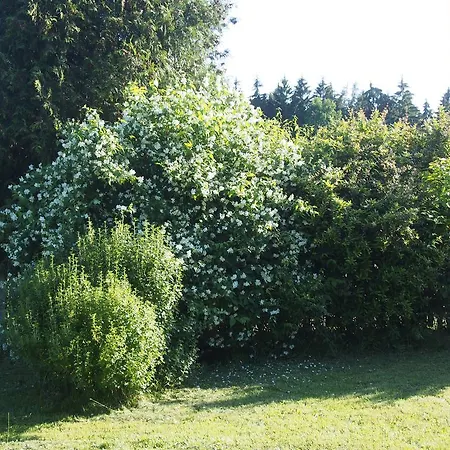 Kopaniny Prázdninový dům *